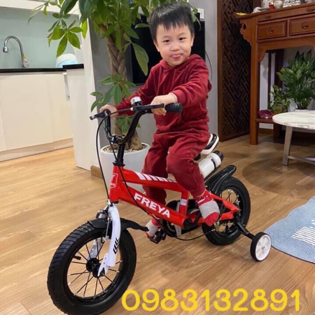 Xe Đạp Trẻ Em từ 2-7 Tuổi - Hàng VN Chất Lượng Cao - FREYA YOLO 12" 14"
