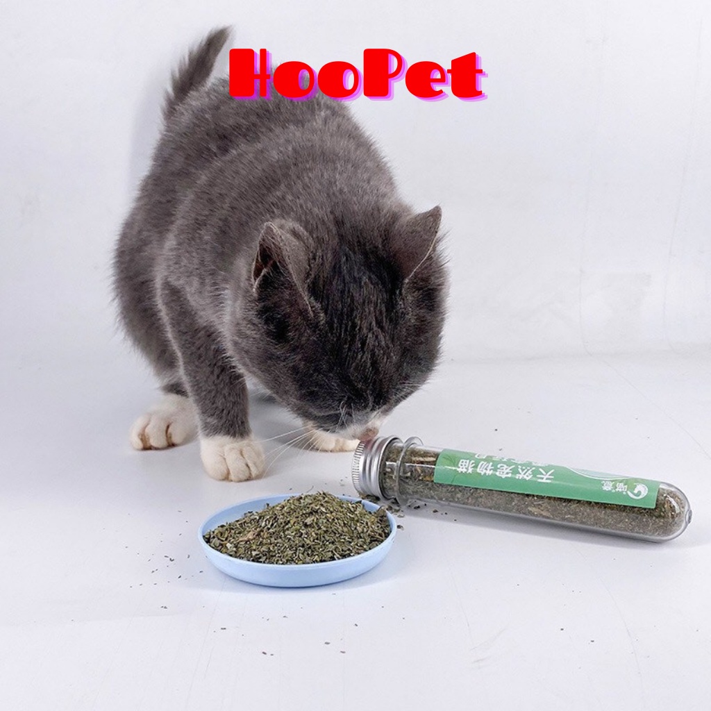 Cỏ Mèo Bạc Hà Catnip (ống 40 ml)- Cỏ Thơm Cho Mèo (Nhận Sỉ)