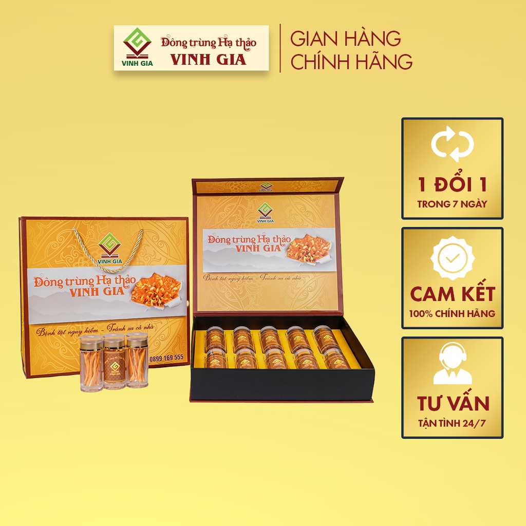 Đông Trùng Hạ Thảo Vinh Gia Quả Thể Khô Giúp Bổ Phế, Thận Khí Dành Cho Mọi Lứa Tuổi – Hộp 10 Lọ