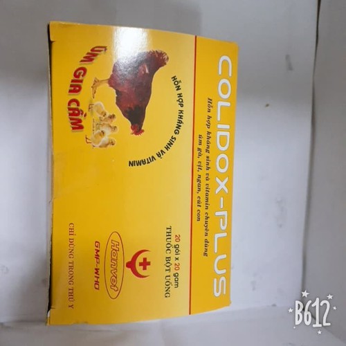 colidox 20g úm gia cầm cho gia cầm