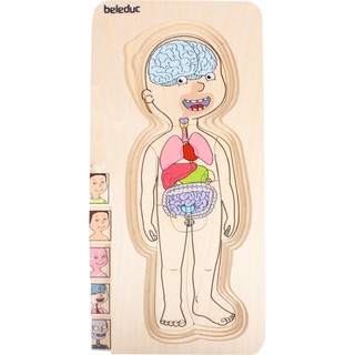 Bộ ghép hình Multilayer Puzzles – Your Bodies (Little Boy)