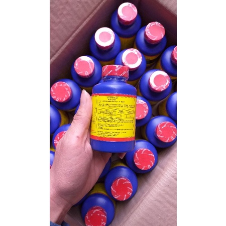 Vitamin B1 Thái Lan Start  – Lọ 100ml