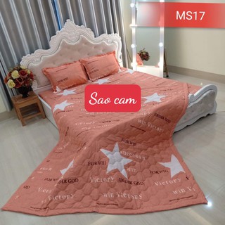 Ga Trải Giường Cotton Poly 1m4x2m,có chọn mẫu kho hcm,SAO CAM