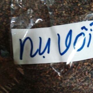Nụ vối 1kg