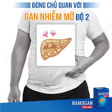 Hamogan Tuệ Linh - Hỗ trợ giải độc gan, giảm mỡ máu - Chính hãng Chính hãng.