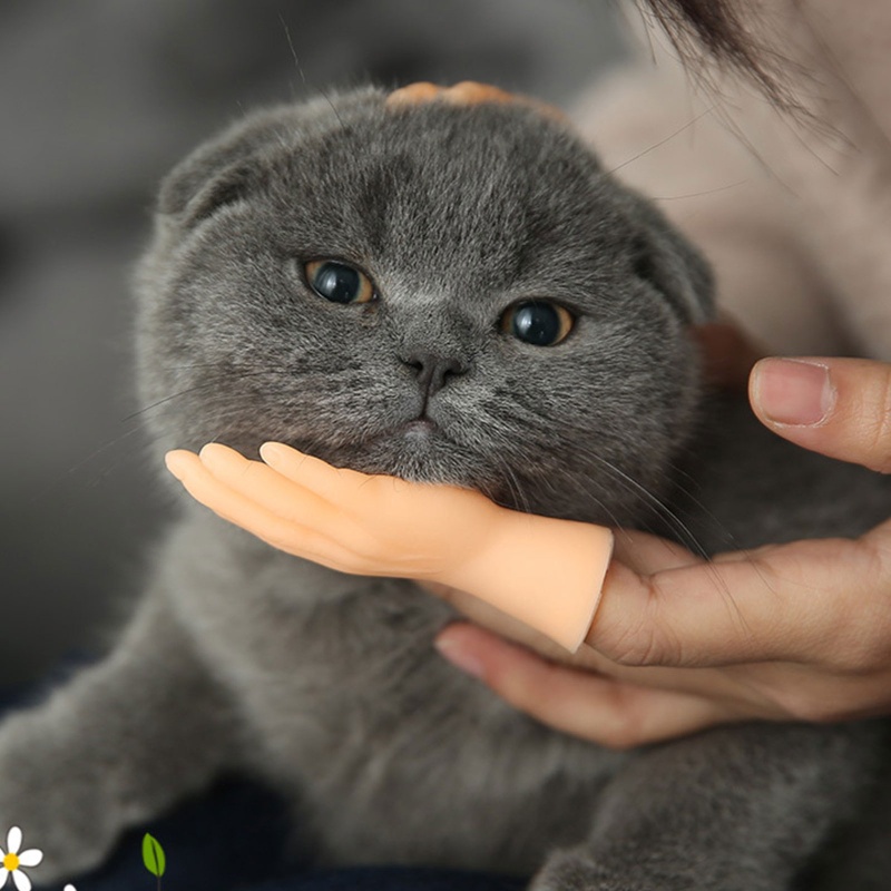 Rối Ngón Tay Hình Mèo Và Chó Dễ Thương Cho Thú Cưng