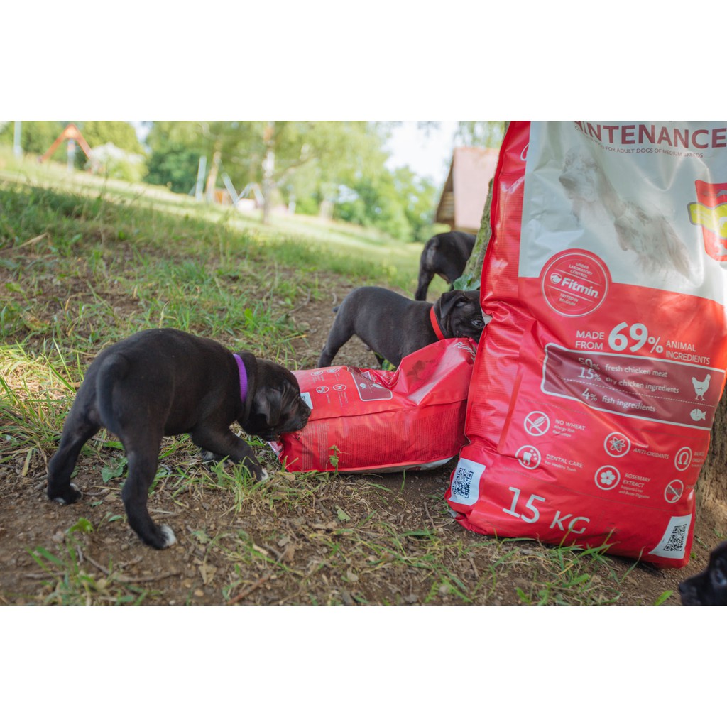 [Mã PET2405 giảm 10% đơn 250K] Thức ăn cho chó con Fitmin Dog Medium Puppy 15kg