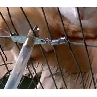 bộ 10 van uống nước tự động cho thỏ bằng inox