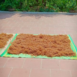 Măng rối khô