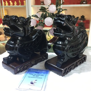 Cặp tỳ hưu đen