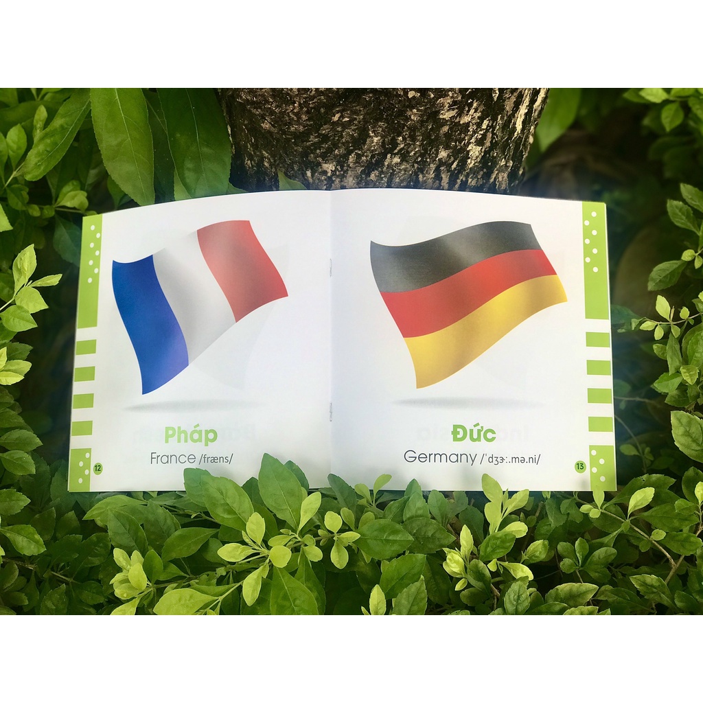 SÁCH - Từ điển bằng hình cho bé - Quốc kỳ trên thế giới - Flags