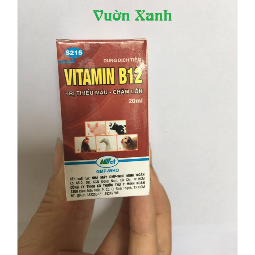 [SIEURE] Vitamin B12 cho cây cảnh, phong lan 20ml hàng đẹp, phân phối chuyên nghiệp.