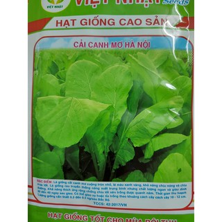 Hạt giống cải canh mơ hà nội