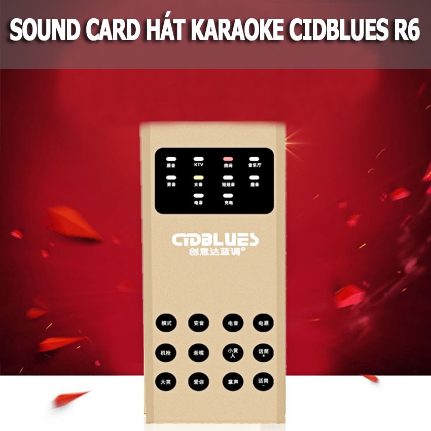 Sound card hát karaoke Cidblues R6 dc2986