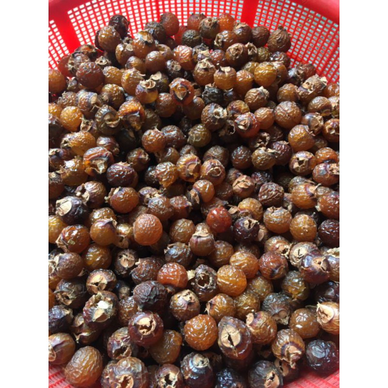 Quả bồ hòn khô tách hạt 51k1 kg | BigBuy360 - bigbuy360.vn