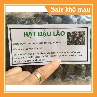 [HÀNG LOẠI 1 - SALE SOCK]  5 hạt đậu lào hút độc - Dược Liệu Sạch