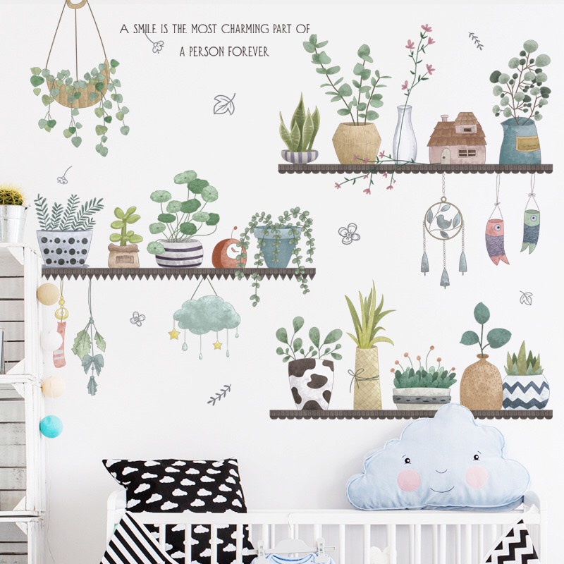 Decal trang trí tường - Những chậu cây sen đá và hoa nhỏ