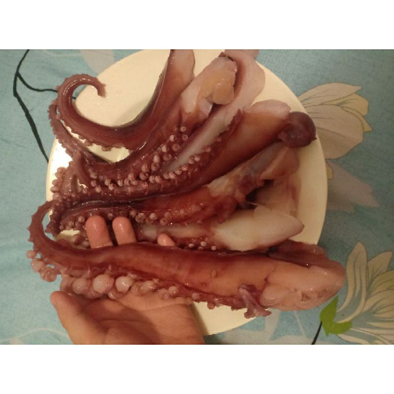 Sỉ 1kg râu bạch tuộc