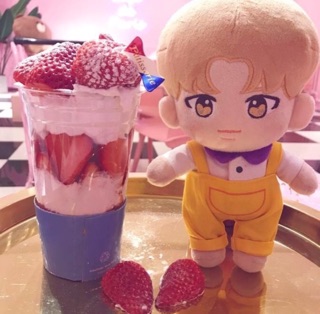 DOLL BTS BÚP BÊ BTS (kèm outfit)