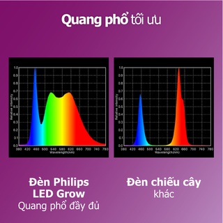 Đèn chiếu cây Philips LED Grow
