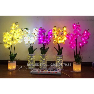 Bình hoa lan có nhụy ( Tím, Trắng và Vàng kèm bình ) có đèn Led trang trí nhà