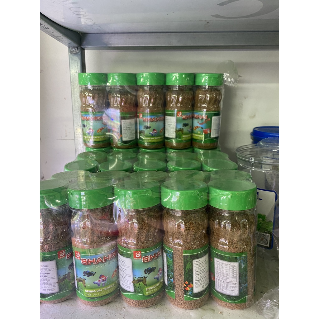Cám cá cảnh Sanghai