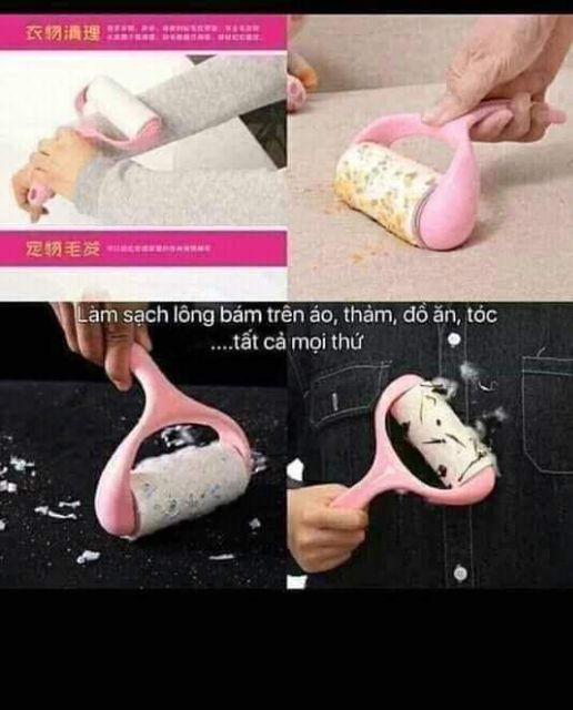 Cây Lăn Bụi Quần Áo..