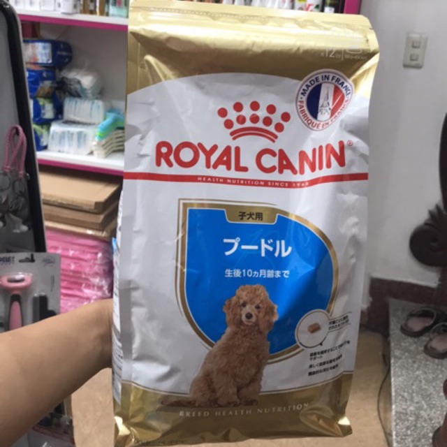 THỨC ĂN ROYAL CANIN JUNIOR DÀNH CHO POODLE GÓI 1,5KG