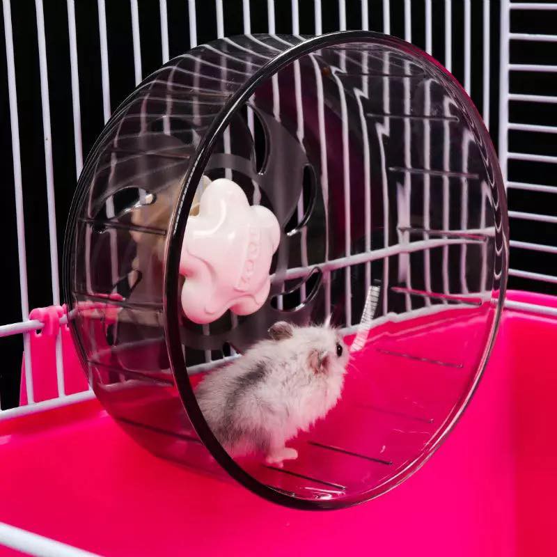 Wheel zoog mika trong suốt size 13cm và 17cm cho hamster