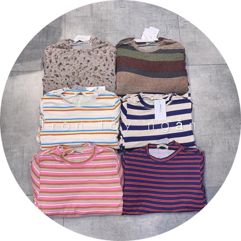 ÁO THUN BODY TAY DÀI SỌC CỔ TRÒN DÁNG DÀI | BigBuy360 - bigbuy360.vn