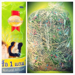 Cỏ khô Alfalfa cho Guinea Pig và Thỏ 1kg