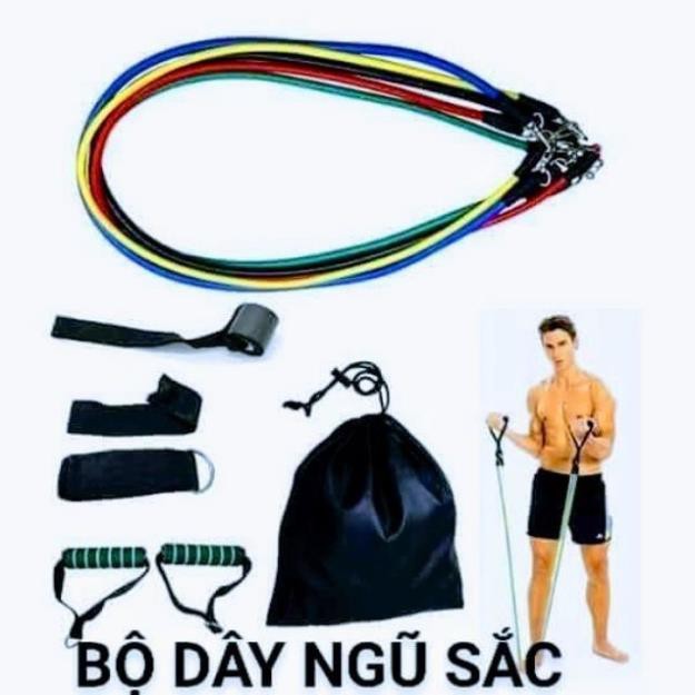 Bộ 5 Dây Ngũ Sắc Tập Full Body - Dụng Cụ Tập Gym Đa Năng