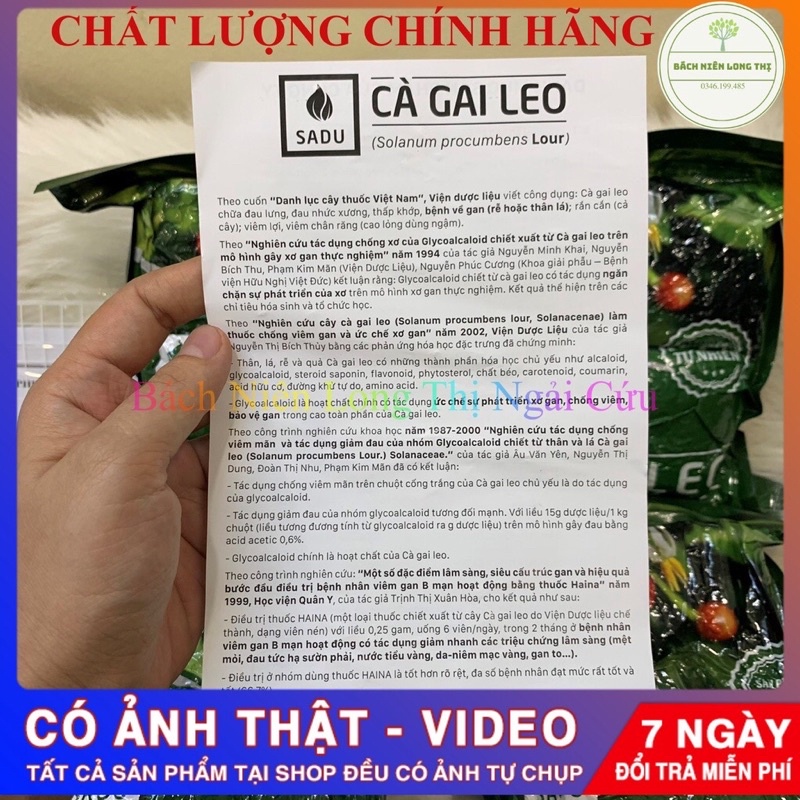 1KG cà gai leo sadu chính hãng- đại lý cấp 1-giá sau chiết khấu