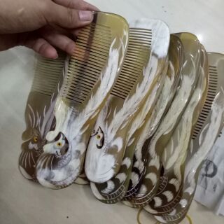 Lược sừng Phượng cuốn