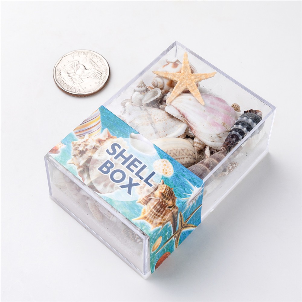 1 Hộp Bọt Biển Tự Nhiên Hình Vỏ Sò / Sao Biển Dùng Trang Trí Nhà Cửa