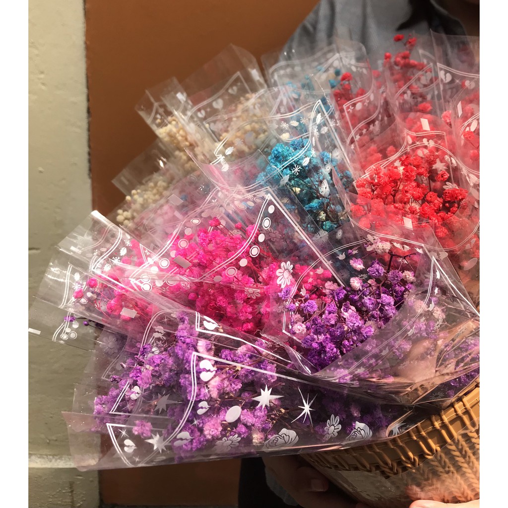 Gypsophila🌸Hoa Baby Khô🌸FREE SHIP🌸Trang trí nhà cửa, events siêu xinh