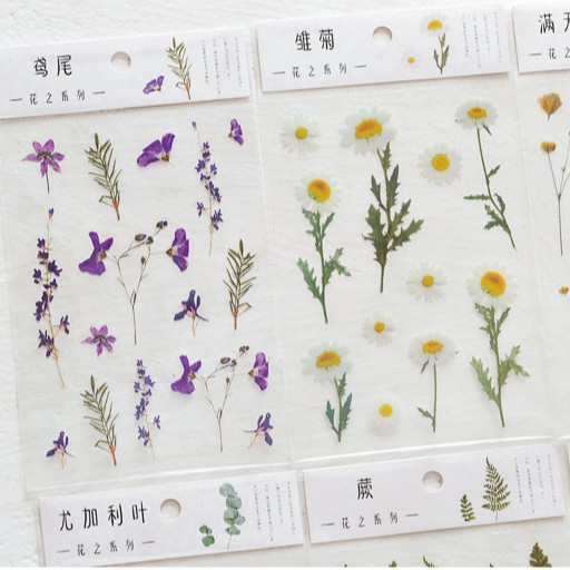 &lt;Video Review&gt; Hình Dán Sticker Cute Hoa Lá Trang Trí Sổ Trang Trí Sổ Tay Mohamm Điện Thoại Vở Khay Đựng Bút M021