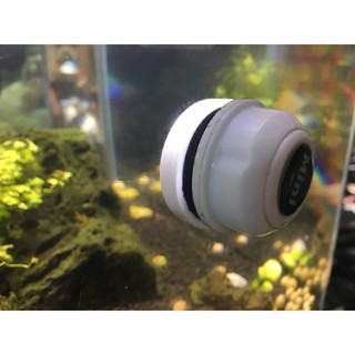 Cọ bể nam châm QuanLong Mini