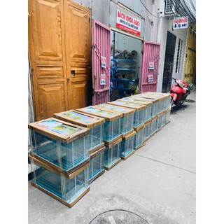 Bể kính siêu trong 40x22x27cm