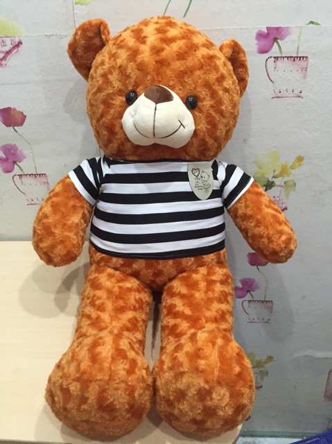 Gấu bông teddy màu cam khổ 1m6 cao 1m4