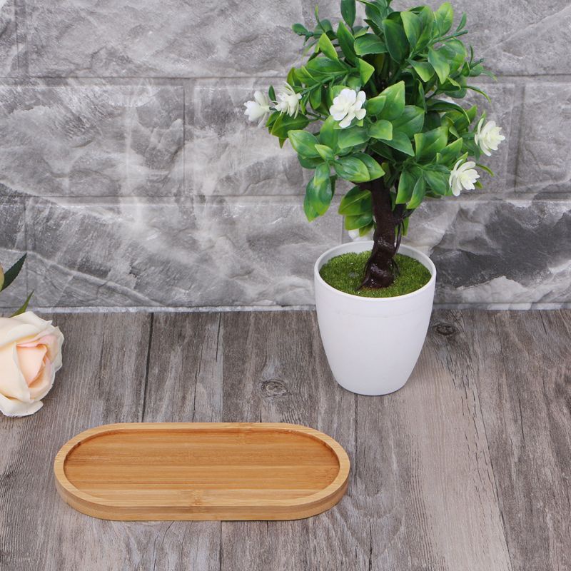 Khay Gỗ Tre Hình Oval Mini Dùng Trồng Cây Cảnh Tiện Dụng