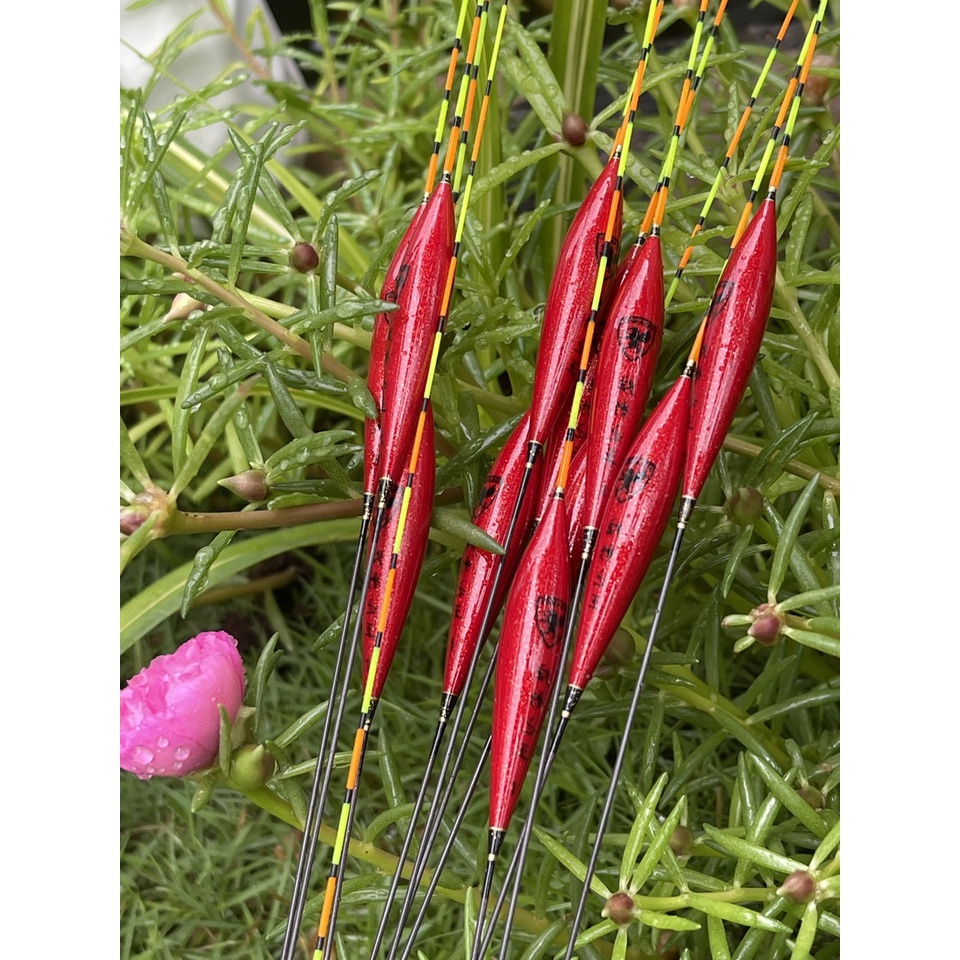 Phao câu đài JZWANG D-22 siêu đẹp