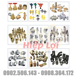 VAN 1 CHIỀU LÒ XO INOX 304