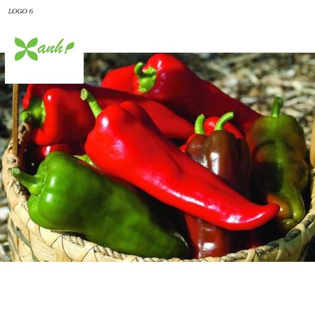 ⚡️ GÓI 50 HẠT ỚT SỪNG BÒ F1⚡️  SIÊU TO SIÊU KHỔNG LỒ