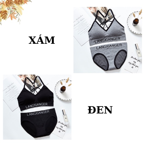 Áo Ngực Quần Lót Nữ Cotton 💖FREESHIP💖 Bộ Đồ Lót Nữ Cao Cấp - Quần Chíp Áo Ngực Không Gọng AMYBRA 3349 | BigBuy360 - bigbuy360.vn