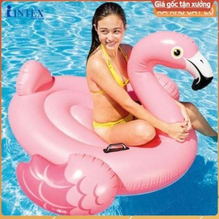 Phao bơi hồng hạc thiếu niên 0317 57558