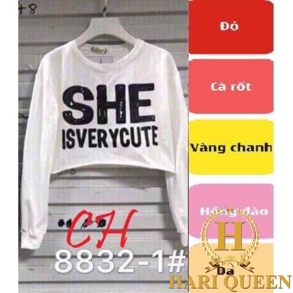 Áo crotop chữ dài tay CH2108