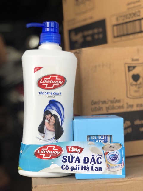 Dầu gội Lifebuoy 640g