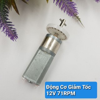 Động Cơ Giảm Tốc DGT-1272 DC3.6V-12V 21-72RPM❤️Chế Bàn Quay❤️Quay Thịt Mini