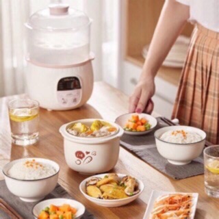 Nồi Nấu Cháo Chính Hãng Bear B08C1 Vừa Nấu Vừa Hấp Củ Quả, Trứng...Nồi Ăn Dặm Cho Bé.